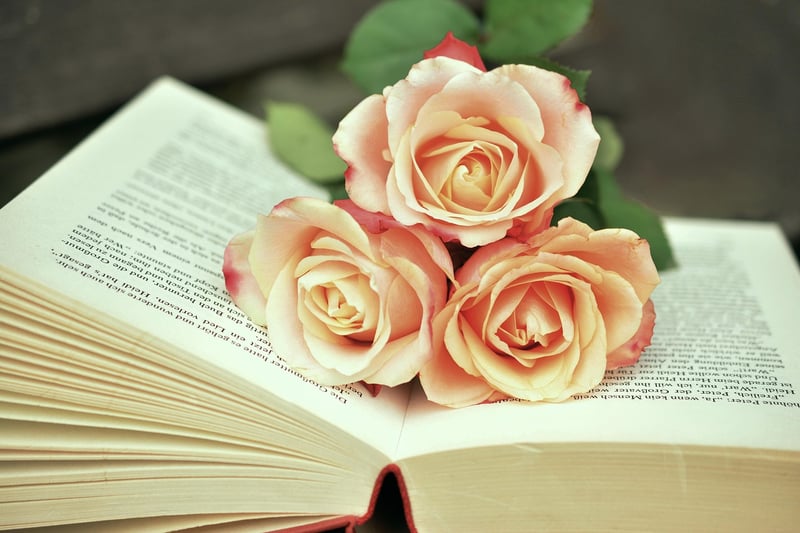 Fantasy Books